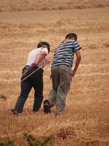 辛勤男女,共筑青春梦想