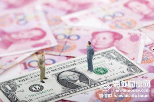 我中专生横扫股币